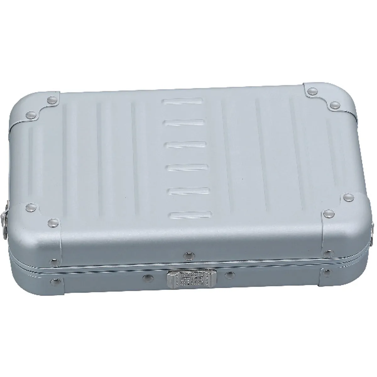 Aleon Aluminum Mini Cross Body
