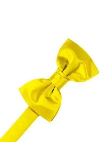 Latte Luxury Satin Bow Ties