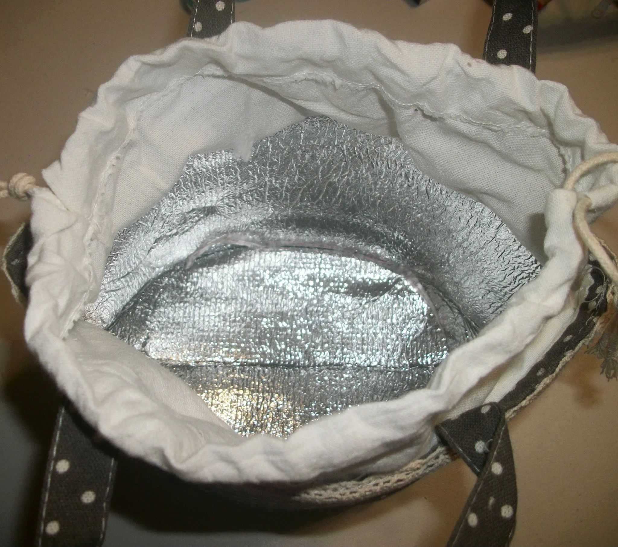Lunch Box or Picnic Tote