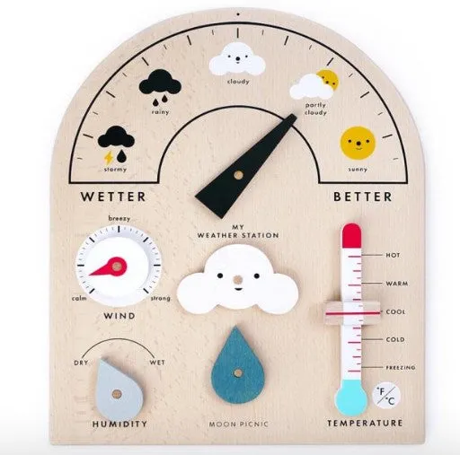 Weather Station - Moon Picnic