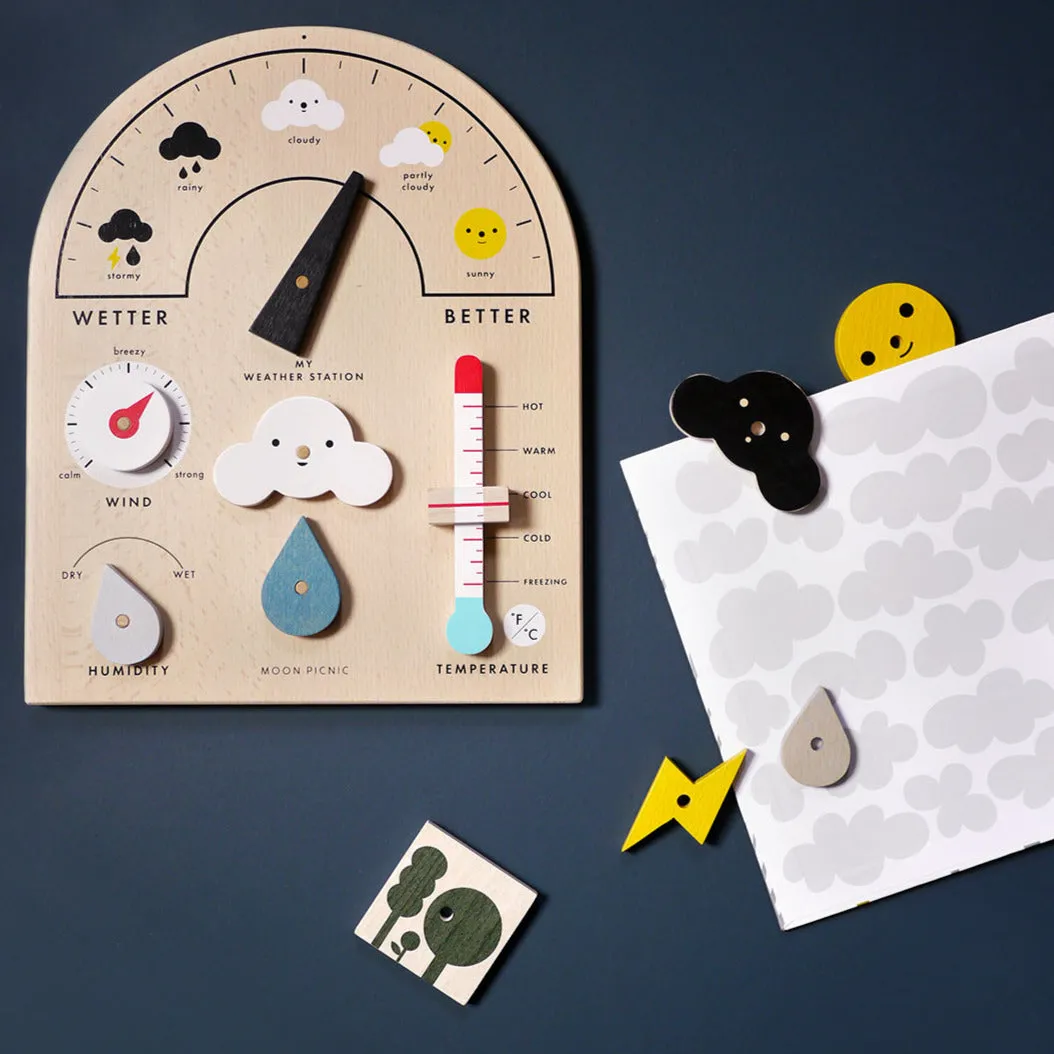 Weather Station - Moon Picnic